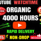 You will get YouTube watch time | Organic 1000 hours watch time for channel monetization