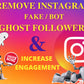 You will get remove 4000 Instagram fake, bot, ghost, and inactive followers removal(100% satisfaction guaranteed)